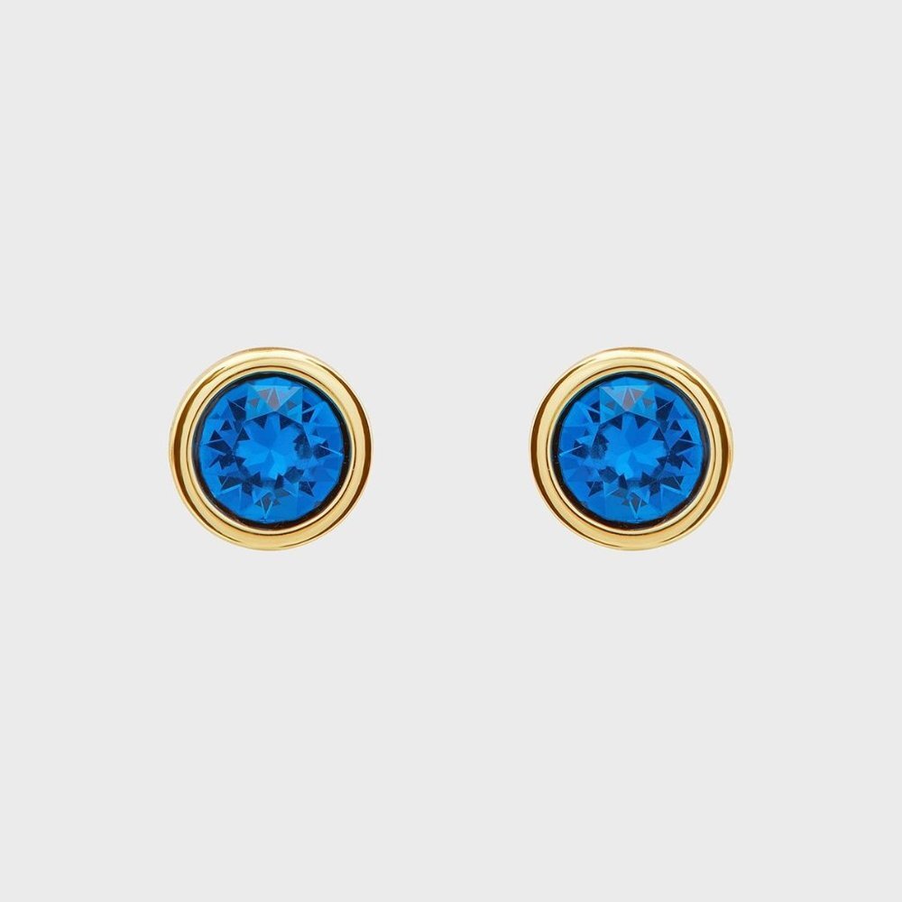 Ted Baker London SINAA BLUE Stud Earrings